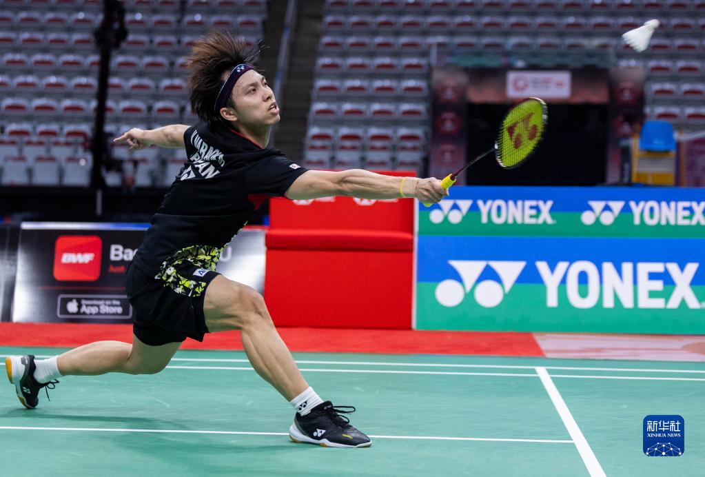 不仅彰显了 不仅彰显了