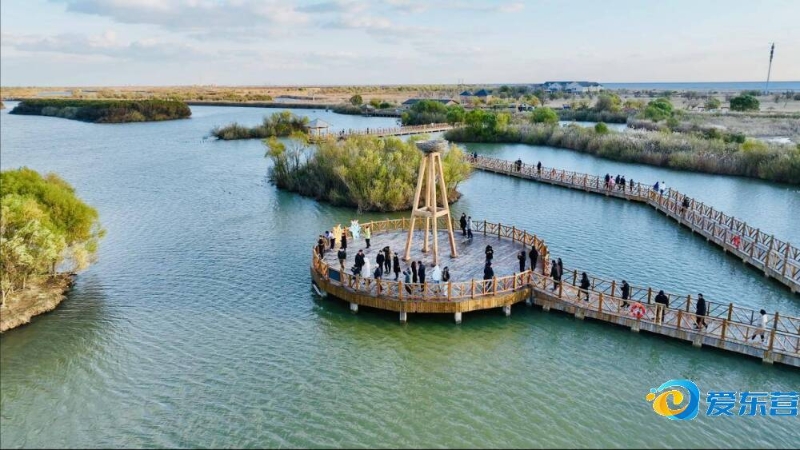 既是因为约 既是因为约