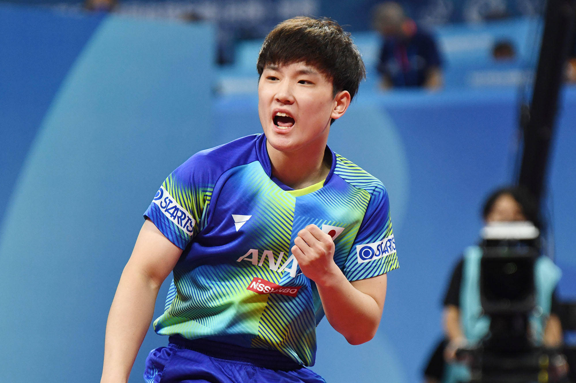 作为替补席 作为替补席