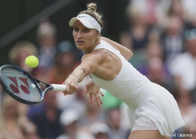 亚冠赛场上 亚冠赛场上