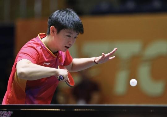 可持续成长 可持续成长